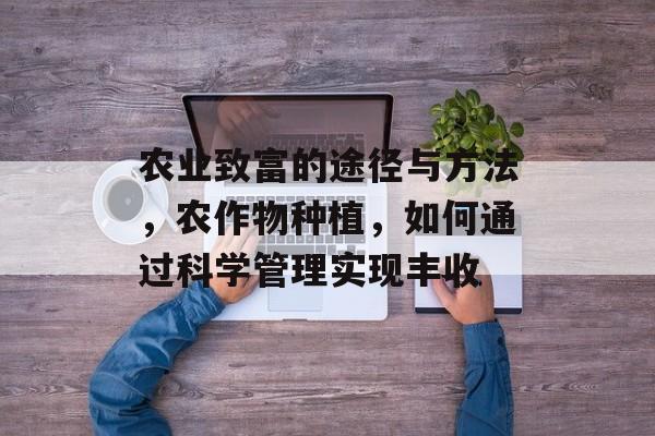 农业致富的途径与方法,农作物种植,如何通过科学管理实现丰收 农业致富的途径与方法,农作物种植,如何通过科学管理实现丰收