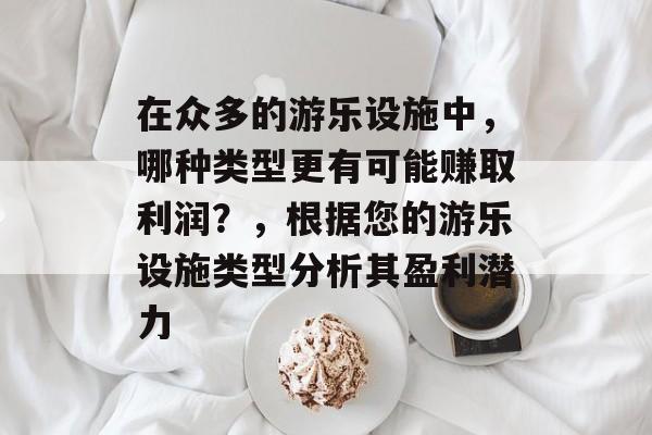 在众多的游乐设施中,哪种类型更有可能赚取利润?,根据您的游乐设施类型分析其盈利潜力 在众多的游乐设施中,哪种类型更有可能赚取利润?,根据您的游乐设施类型分析其盈利潜力