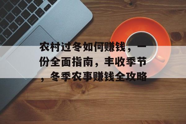 农村过冬如何赚钱，一份全面指南，丰收季节，冬季农事赚钱全攻略