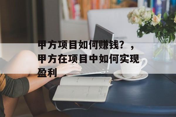 甲方项目如何赚钱?,甲方在项目中如何实现盈利 甲方项目如何赚钱?,甲方在项目中如何实现盈利