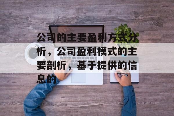 公司的主要盈利方式分析,公司盈利模式的主要剖析,基于提供的信息的 公司的主要盈利方式分析,公司盈利模式的主要剖析,基于提供的信息的