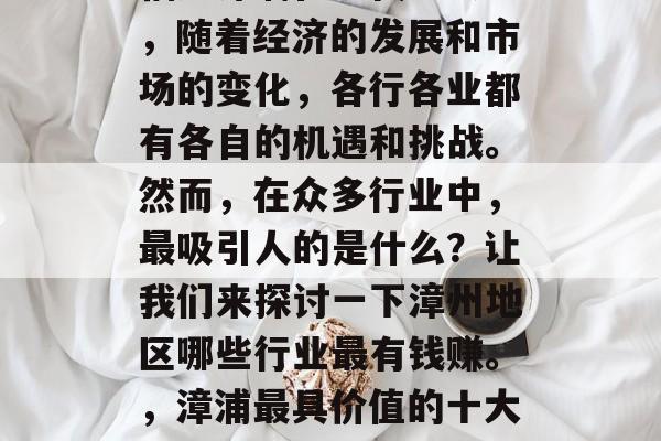 福建漳浦在现代社会中，随着经济的发展和市场的变化，各行各业都有各自的机遇和挑战。然而，在众多行业中，最吸引人的是什么？让我们来探讨一下漳州地区哪些行业最有钱赚。，漳浦最具价值的十大行业分析报告