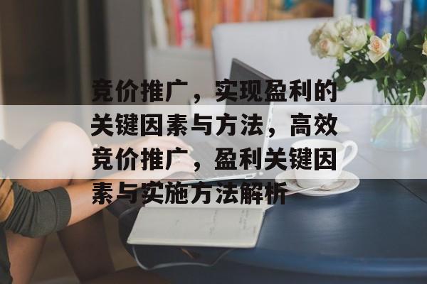 竞价推广，实现盈利的关键因素与方法，高效竞价推广，盈利关键因素与实施方法解析