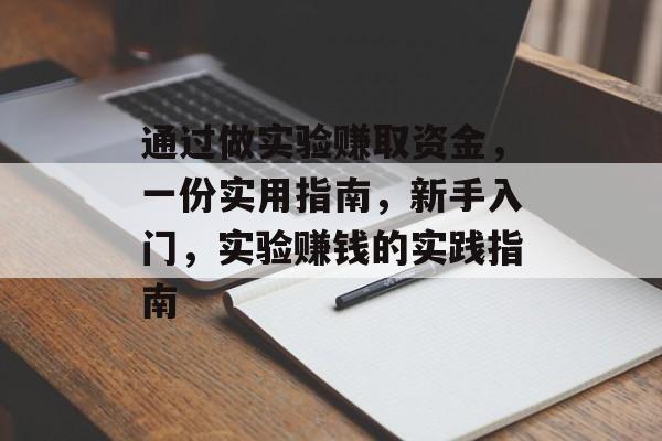 通过做实验赚取资金,一份实用指南,新手入门,实验赚钱的实践指南 通过做实验赚取资金,一份实用指南,新手入门,实验赚钱的实践指南