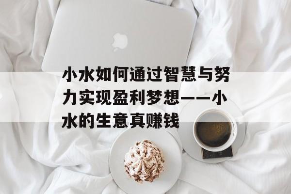 小水如何通过智慧与努力实现盈利梦想——小水的生意真赚钱 小水如何通过智慧与努力实现盈利梦想——小水的生意真赚钱