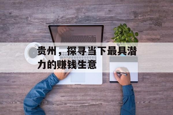 贵州,探寻当下最具潜力的赚钱生意 贵州,探寻当下最具潜力的赚钱生意