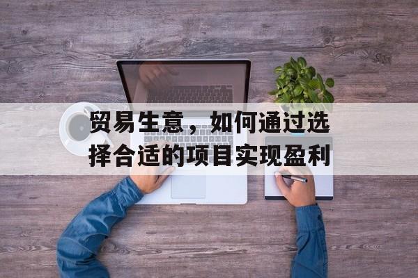 贸易生意,如何通过选择合适的项目实现盈利 贸易生意,如何通过选择合适的项目实现盈利