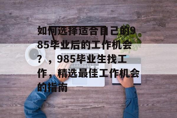 如何选择适合自己的985毕业后的工作机会？，985毕业生找工作，精选最佳工作机会的指南