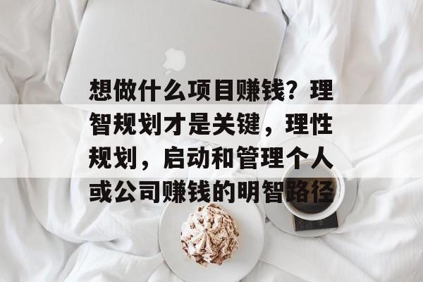 想做什么项目赚钱?理智规划才是关键,理性规划,启动和管理个人或公司赚钱的明智路径 想做什么项目赚钱?理智规划才是关键,理性规划,启动和管理个人或公司赚钱的明智路径