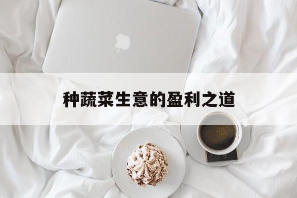 种蔬菜生意的盈利之道 种蔬菜生意的盈利之道