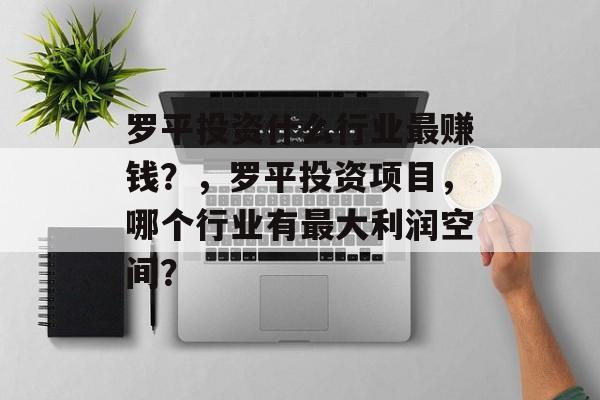 罗平投资什么行业最赚钱?,罗平投资项目,哪个行业有最大利润空间? 罗平投资什么行业最赚钱?,罗平投资项目,哪个行业有最大利润空间?