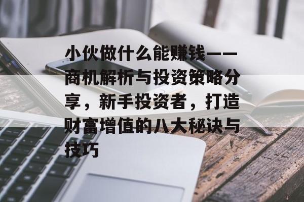 小伙做什么能赚钱——商机解析与投资策略分享,新手投资者,打造财富增值的八大秘诀与技巧 小伙做什么能赚钱——商机解析与投资策略分享,新手投资者,打造财富增值的八大秘诀与技巧