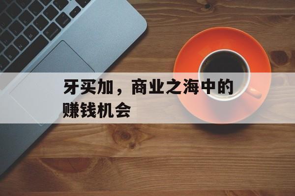 牙买加，商业之海中的赚钱机会