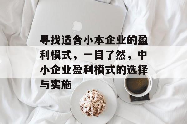 寻找适合小本企业的盈利模式，一目了然，中小企业盈利模式的选择与实施