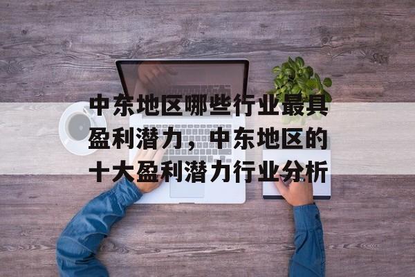 中东地区哪些行业最具盈利潜力,中东地区的十大盈利潜力行业分析 中东地区哪些行业最具盈利潜力,中东地区的十大盈利潜力行业分析