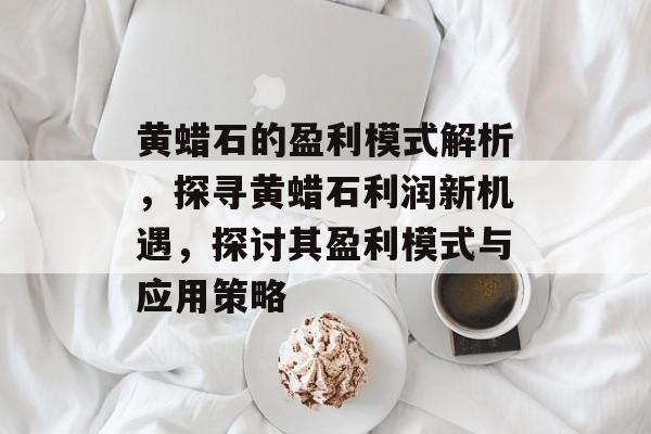 黄蜡石的盈利模式解析,探寻黄蜡石利润新机遇,探讨其盈利模式与应用策略 黄蜡石的盈利模式解析,探寻黄蜡石利润新机遇,探讨其盈利模式与应用策略
