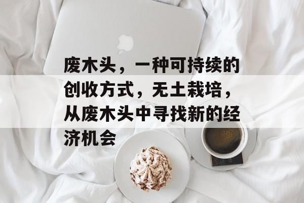 废木头，一种可持续的创收方式，无土栽培，从废木头中寻找新的经济机会