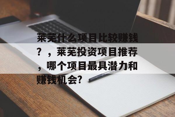 莱芜什么项目比较赚钱?,莱芜投资项目推荐,哪个项目最具潜力和赚钱机会? 莱芜什么项目比较赚钱?,莱芜投资项目推荐,哪个项目最具潜力和赚钱机会?