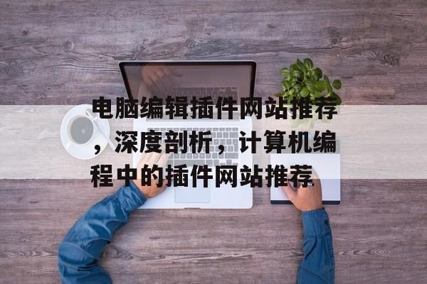 电脑编辑插件网站推荐,深度剖析,计算机编程中的插件网站推荐 电脑编辑插件网站推荐,深度剖析,计算机编程中的插件网站推荐