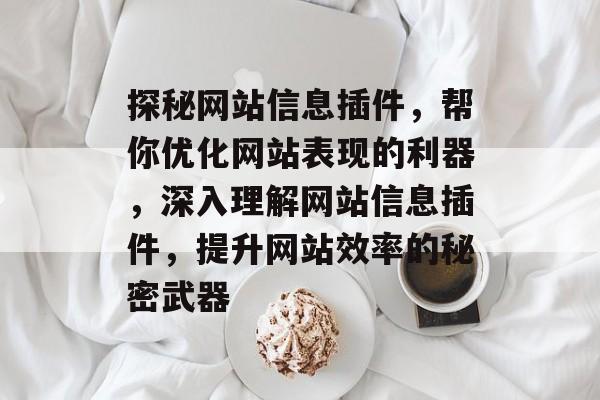 探秘网站信息插件,帮你优化网站表现的利器,深入理解网站信息插件,提升网站效率的秘密武器 探秘网站信息插件,帮你优化网站表现的利器,深入理解网站信息插件,提升网站效率的秘密武器