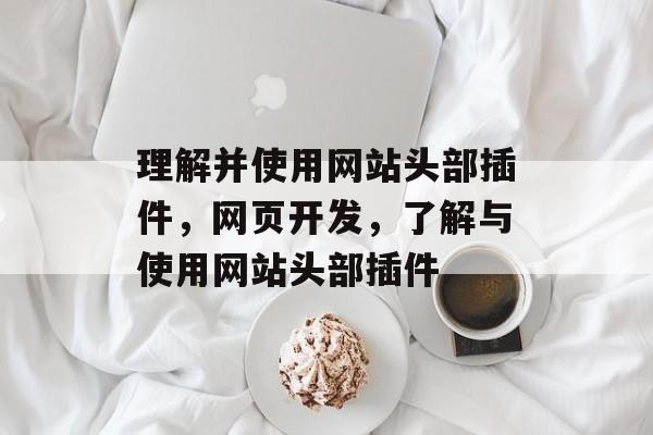 理解并使用网站头部插件,网页开发,了解与使用网站头部插件 理解并使用网站头部插件,网页开发,了解与使用网站头部插件