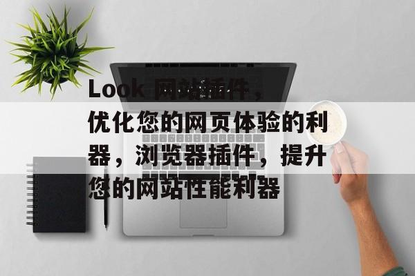 Look 网站插件，优化您的网页体验的利器，浏览器插件，提升您的网站性能利器