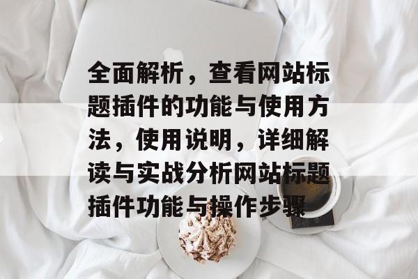 全面解析,查看网站标题插件的功能与使用方法,使用说明,详细解读与实战分析网站标题插件功能与操作步骤 全面解析,查看网站标题插件的功能与使用方法,使用说明,详细解读与实战分析网站标题插件功能与操作步骤
