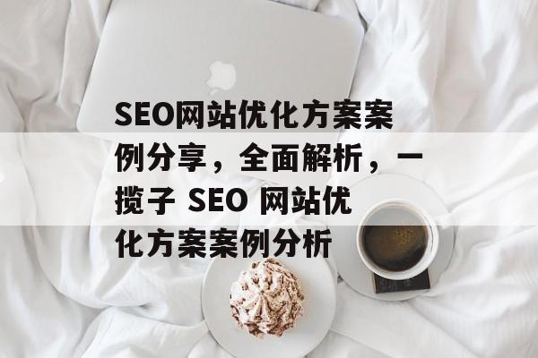 SEO网站优化方案案例分享,全面解析,一揽子 SEO 网站优化方案案例分析 SEO网站优化方案案例分享,全面解析,一揽子 SEO 网站优化方案案例分析