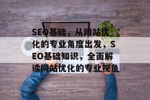 SEO基础，从网站优化的专业角度出发，SEO基础知识，全面解读网站优化的专业视角