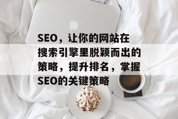 SEO，让你的网站在搜索引擎里脱颖而出的策略，提升排名，掌握SEO的关键策略