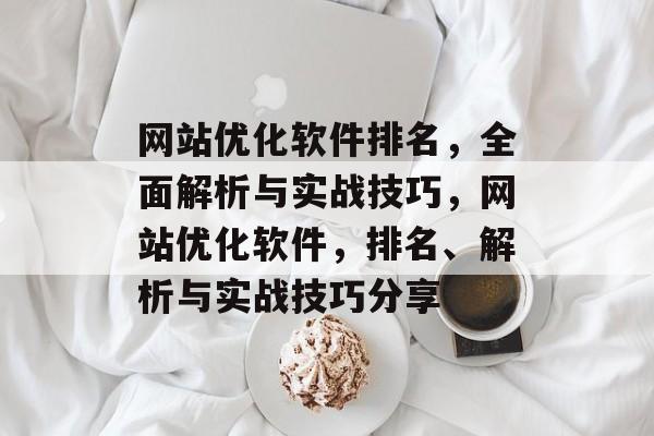 网站优化软件排名，全面解析与实战技巧，网站优化软件，排名、解析与实战技巧分享