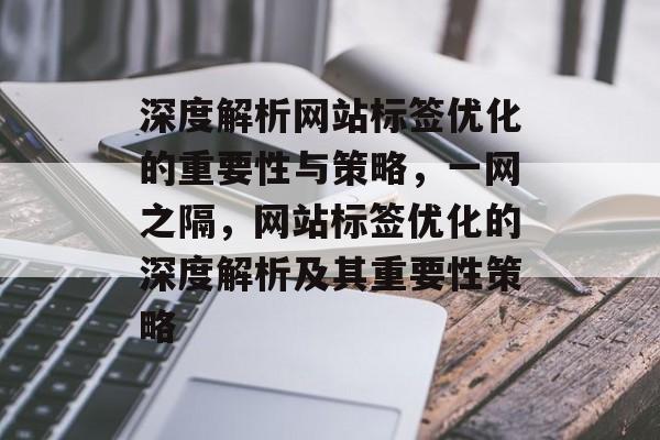 深度解析网站标签优化的重要性与策略，一网之隔，网站标签优化的深度解析及其重要性策略