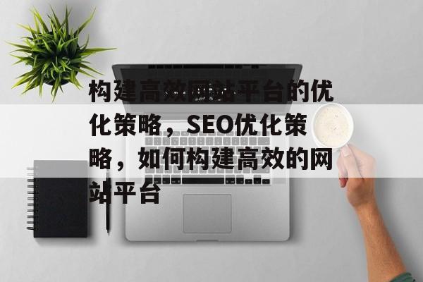 构建高效网站平台的优化策略，SEO优化策略，如何构建高效的网站平台