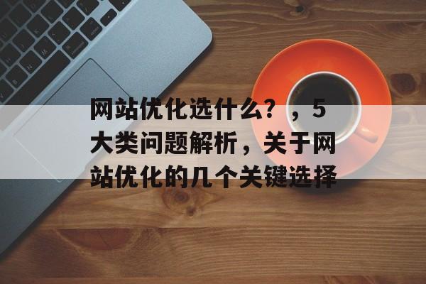 网站优化选什么？，5大类问题解析，关于网站优化的几个关键选择