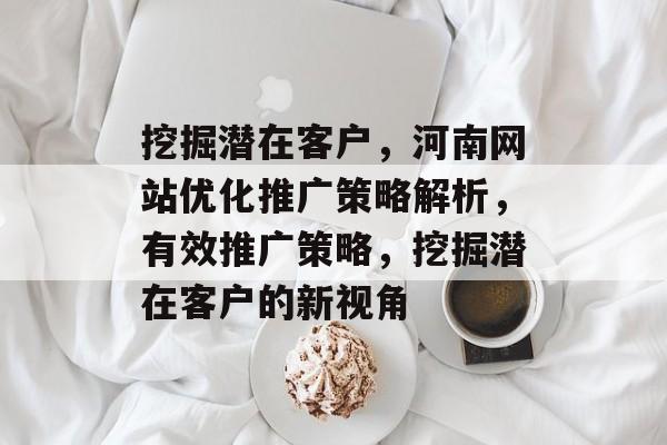 挖掘潜在客户，河南网站优化推广策略解析，有效推广策略，挖掘潜在客户的新视角