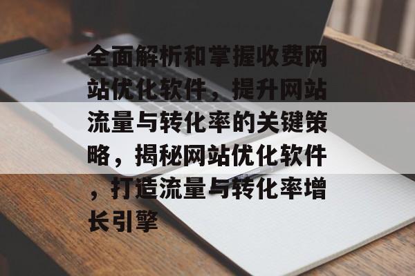 全面解析和掌握收费网站优化软件，提升网站流量与转化率的关键策略，揭秘网站优化软件，打造流量与转化率增长引擎