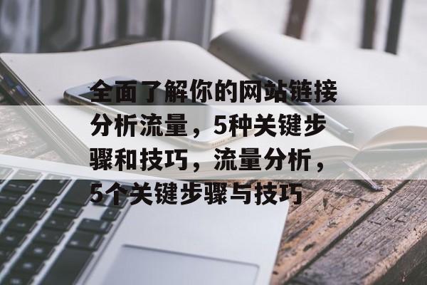 全面了解你的网站链接分析流量，5种关键步骤和技巧，流量分析，5个关键步骤与技巧