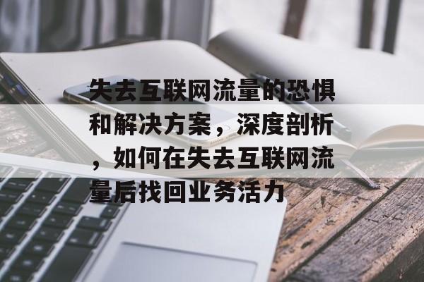 失去互联网流量的恐惧和解决方案,深度剖析,如何在失去互联网流量后找回业务活力 失去互联网流量的恐惧和解决方案,深度剖析,如何在失去互联网流量后找回业务活力