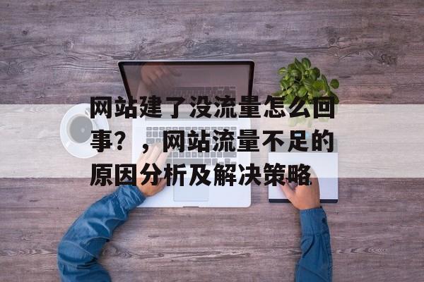网站建了没流量怎么回事？，网站流量不足的原因分析及解决策略