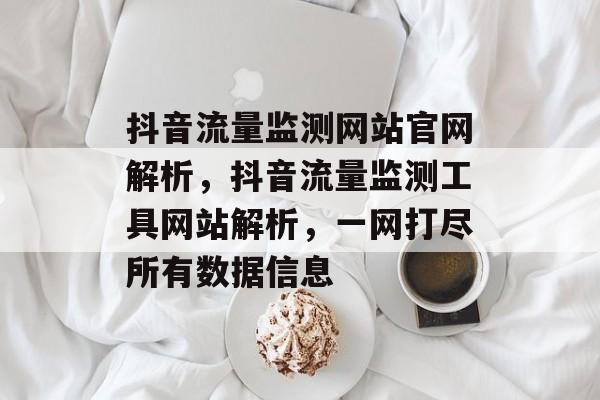 抖音流量监测网站官网解析，抖音流量监测工具网站解析，一网打尽所有数据信息