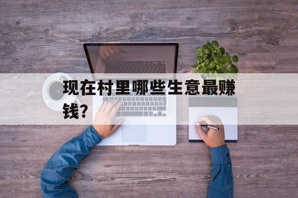 现在村里哪些生意最赚钱？