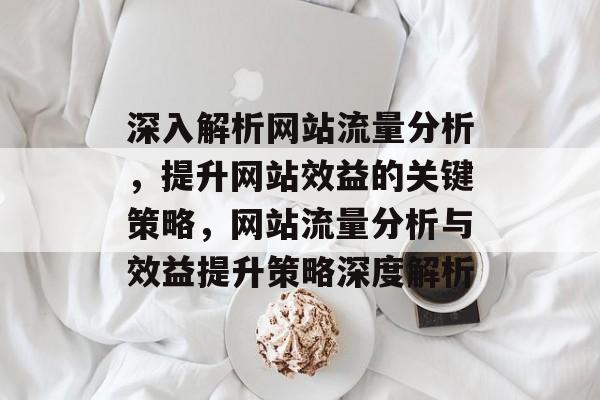 深入解析网站流量分析，提升网站效益的关键策略，网站流量分析与效益提升策略深度解析
