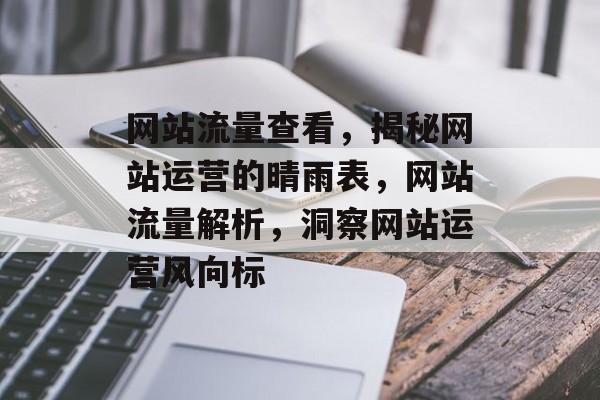 网站流量查看，揭秘网站运营的晴雨表，网站流量解析，洞察网站运营风向标