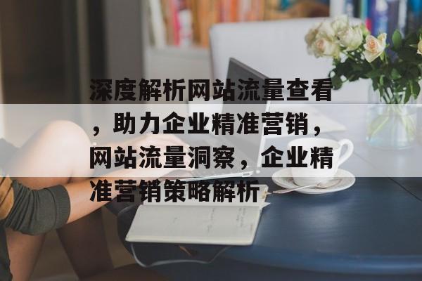 深度解析网站流量查看，助力企业精准营销，网站流量洞察，企业精准营销策略解析