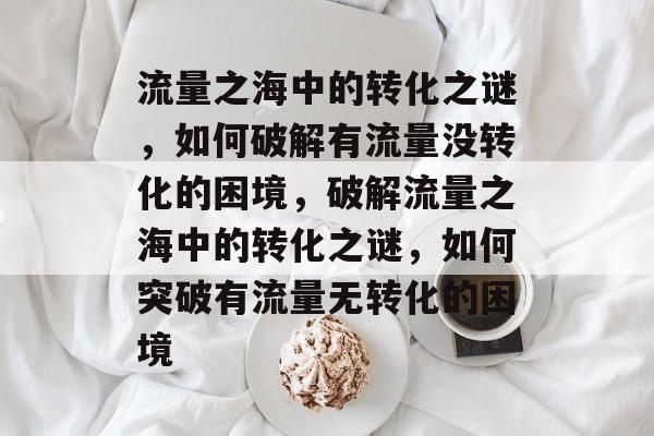 流量之海中的转化之谜，如何破解有流量没转化的困境，破解流量之海中的转化之谜，如何突破有流量无转化的困境