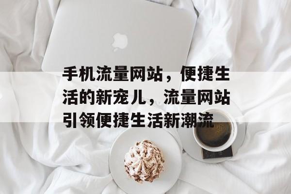 手机流量网站，便捷生活的新宠儿，流量网站引领便捷生活新潮流