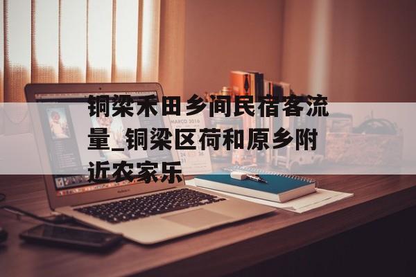 铜梁禾田乡间民宿客流量_铜梁区荷和原乡附近农家乐