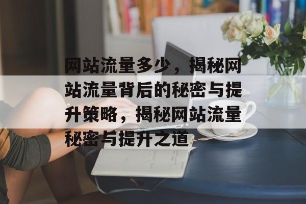 网站流量多少，揭秘网站流量背后的秘密与提升策略，揭秘网站流量秘密与提升之道