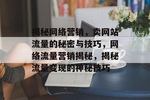 揭秘网络营销，卖网站流量的秘密与技巧，网络流量营销揭秘，揭秘流量变现的神秘技巧