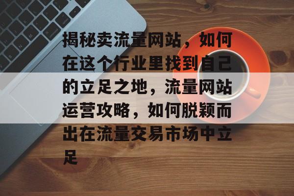 揭秘卖流量网站，如何在这个行业里找到自己的立足之地，流量网站运营攻略，如何脱颖而出在流量交易市场中立足